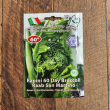 Rapini 'Broccoli Rabe Leccese di San Martino' (60 days)