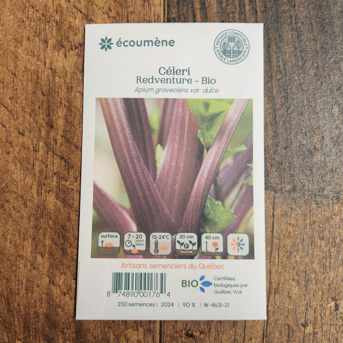 Sachet de semences Céleri Redventure. Emballage blanc photographié de face sur un fond de bois brun. Une image du végétal occupe la partie centrale, sous le nom imprimé. De petits pictogrammes et un code-barres apparaissent au bas du sachet. La marque Écoumène figure dans la partie supérieure de cette présentation.