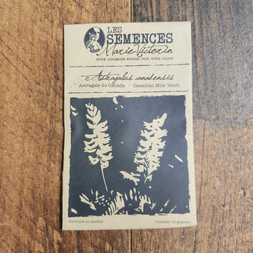 Canada milk vetch