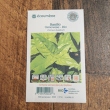 Sachet de semences Basilic Genovese. Emballage blanc photographié de face sur un fond de bois brun. Une image du végétal occupe la partie centrale, sous le nom imprimé. De petits pictogrammes et un code-barres apparaissent au bas du sachet. La marque Écoumène figure dans la partie supérieure de cette présentation.