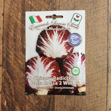 Radicchio 'Palla Rossa n°2'