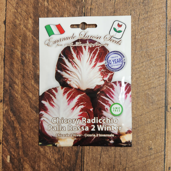Radicchio 'Palla Rossa 2 Winter'