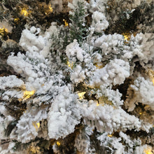 Sapin Chamonix