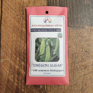 Pois mange-tout 'Oregon Sugar' bio
