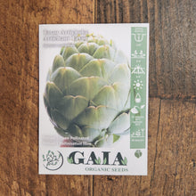 Artichoke 'Tavor' organic