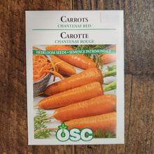 Chantenay Red Carrot 
