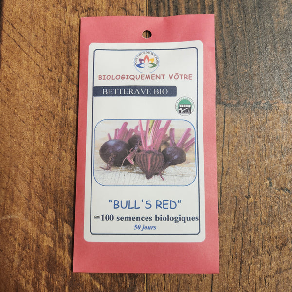 Organic 'Bull's blood' beetroot