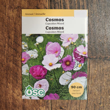 Mixed Cosmos Cupcakes 