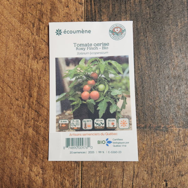 Organic cherry tomato 'Rosy Finch'