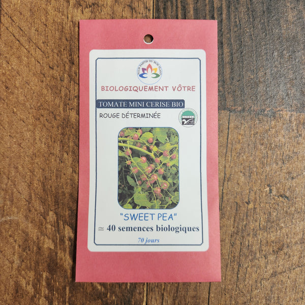 Tomate cerise rouge 'Sweet Pea' bio