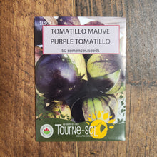 Tomatillo mauve (<em>Physalis ixocarpa</em>)