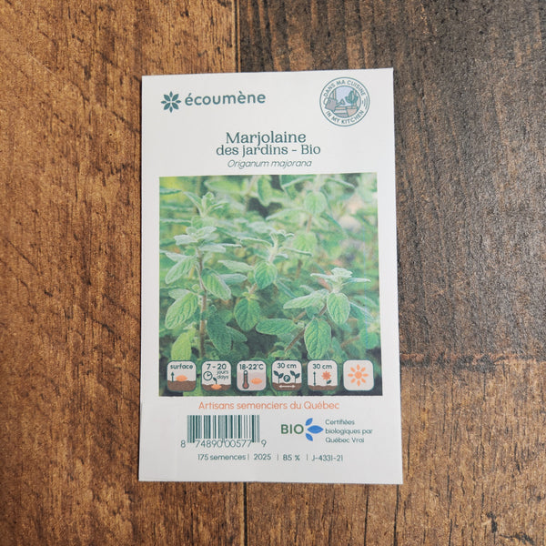 Organic garden marjoram