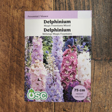 Delphinium 'Magic Fountains Mixed'