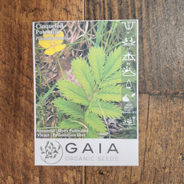 Cinquefoil Organic 