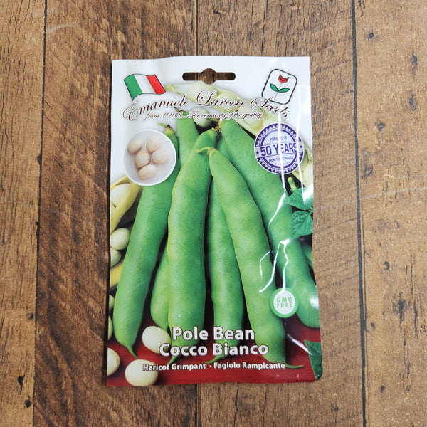 Flat climbing bean 'Cocco Bianco'