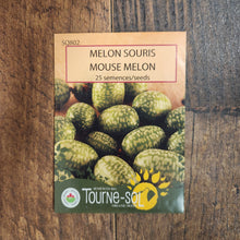 Organic 'Mouse Melon' Cucumber