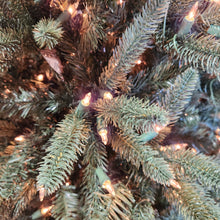 Sapin Beirut