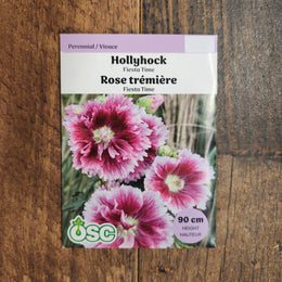 Hollyhock 'Fiesta Time'