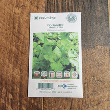 Sachet de semences Coriandre Santo. Emballage blanc photographié de face sur un fond de bois brun. Une image du végétal occupe la partie centrale, sous le nom imprimé. De petits pictogrammes et un code-barres apparaissent au bas du sachet. La marque Écoumène figure dans la partie supérieure de cette présentation.