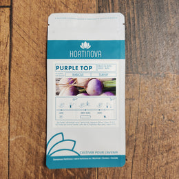 Rabiole 'Purple top'