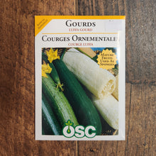 Gourde 'Luffa'