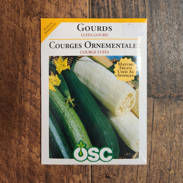 Gourd 'Luffa'