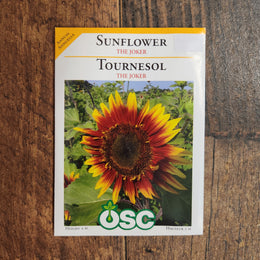 Tournesol 'The Joker'