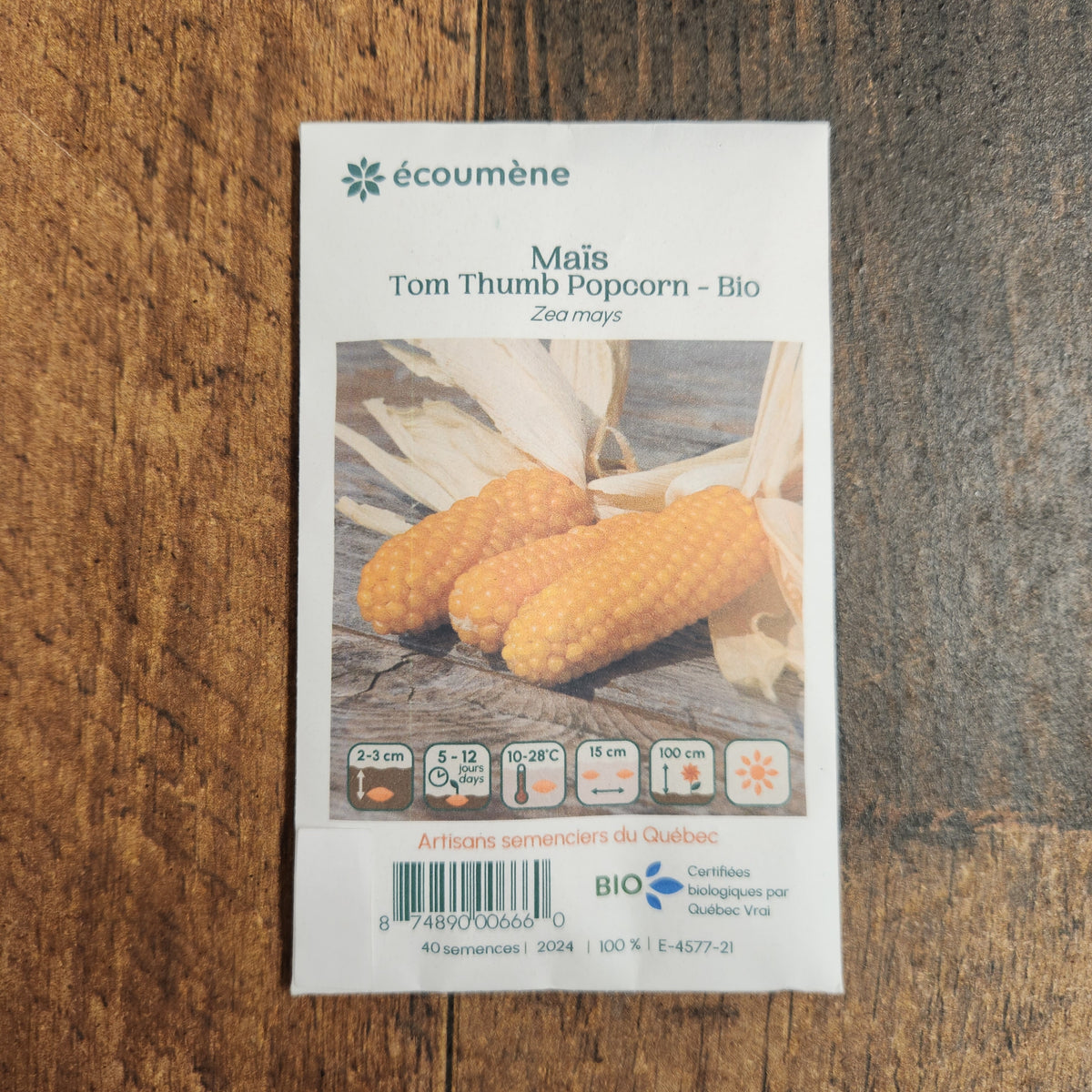 Sachet de semences Maïs Tom Thumb Popcorn. Emballage blanc photographié de face sur un fond de bois brun. Une image du végétal occupe la partie centrale, sous le nom imprimé. De petits pictogrammes et un code-barres apparaissent au bas du sachet. La marque Écoumène figure dans la partie supérieure de cette présentation.