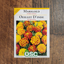  Marigold  ‘Sparky Mixed’