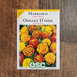  Marigold  ‘Sparky Mixed’