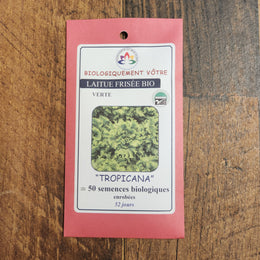 Laitue frisée verte 'Tropicana' bio