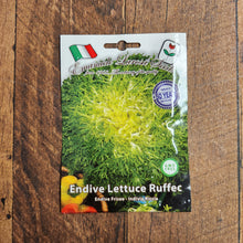 Endive 'Lettuce Ruffec'