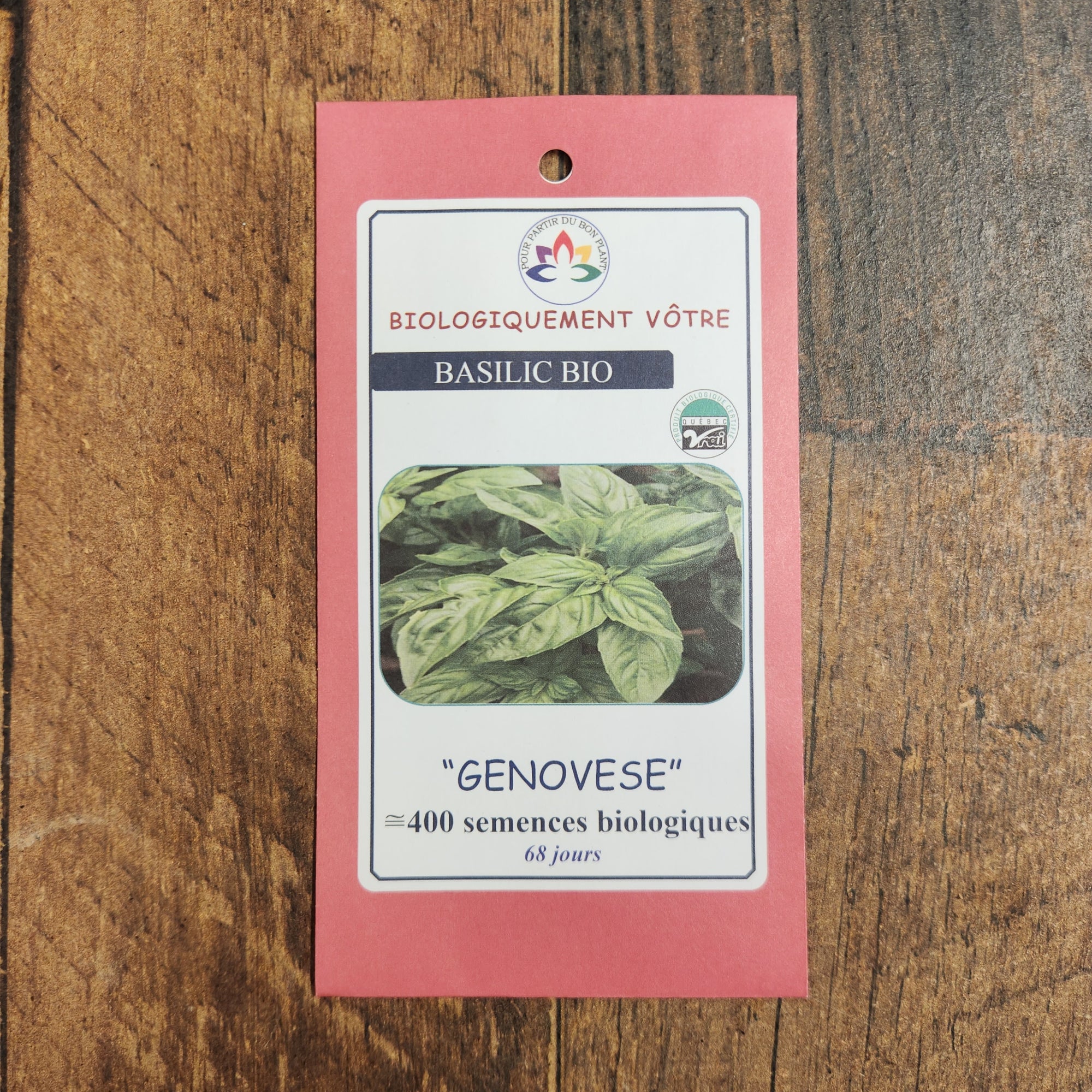 Basilic ‘Genovese’ bio (<em>Ocimum basilicum</em> ‘Genovese’)