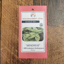 Basilic ‘Genovese’ bio (<em>Ocimum basilicum</em> ‘Genovese’)