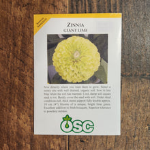 Zinnia 'Giant Lime'