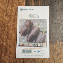 Organic 'Chocolate' Brown Pepper