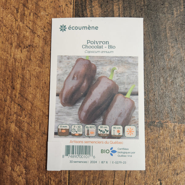 Poivron brun 'Chocolat' bio