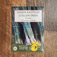 Échalote à botteler 'Parade' bio