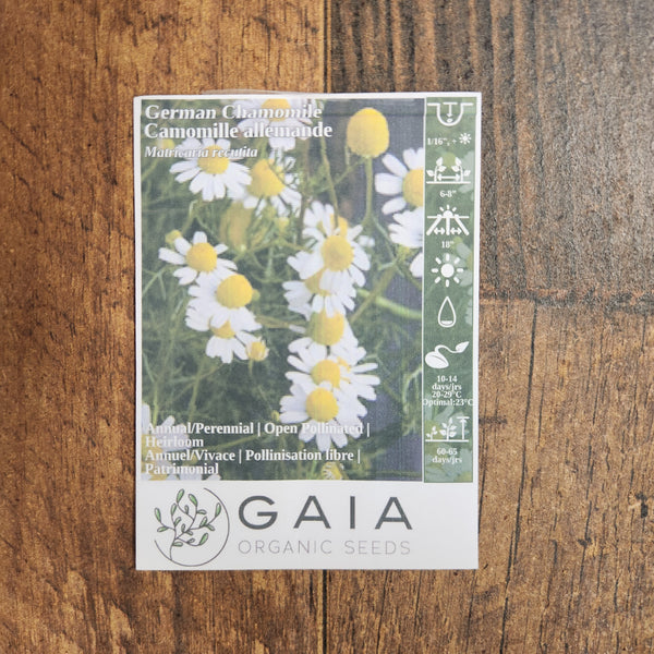 chamomile 'German' 
