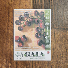 Tomato 'Blueberry' organic