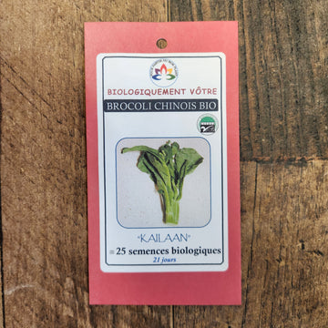 Brocoli chinois 'Kailaan' bio