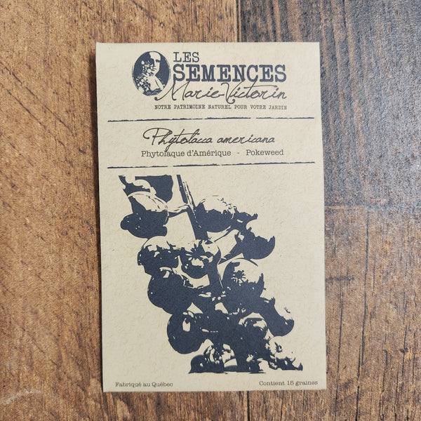 Phytolaque d’Amérique