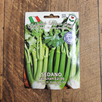 Utah 52-70 Celery: Utah 52-70 is a vigorous celery with long, crisp, aromatic stalks.