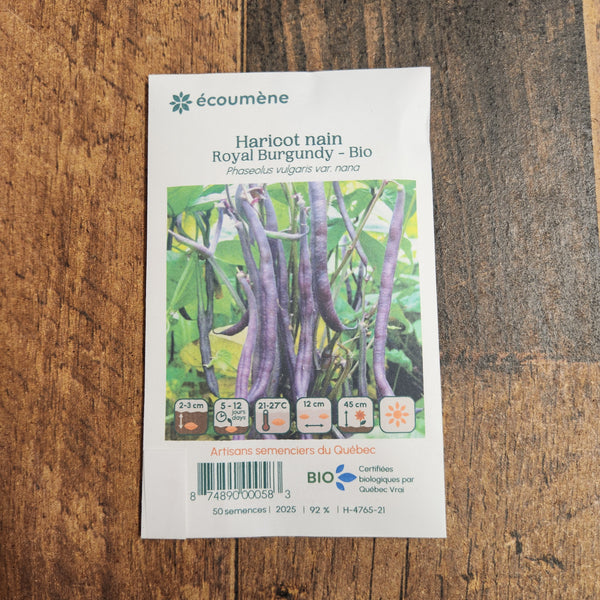 Organic Dwarf Bean 'Royal Burgundy'