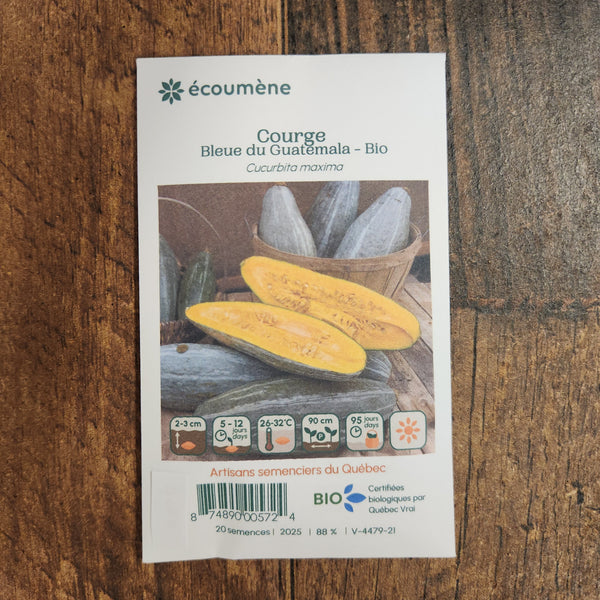 Organic 'Blue Guatemala' Squash