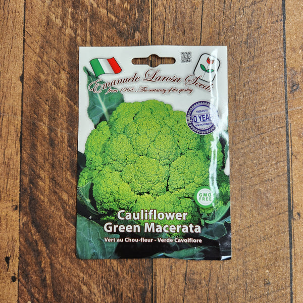 Green Cauliflower 'Macerata Green'