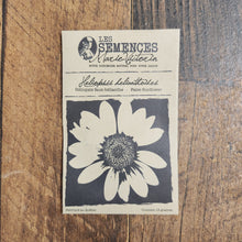 False Sunflower