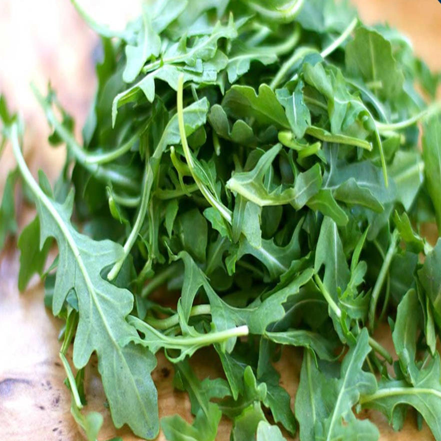 Organic Esmee arugula plant forming a rosette of deeply cut green leaves with tender texture and mild peppery flavour. The image shows compact habit, healthy foliage, and the ideal stage for harvesting baby or full-size leaves in a garden bed or planter. For growing Esmee arugula, inspect each small section separately so leaves are harvested at the proper stage.