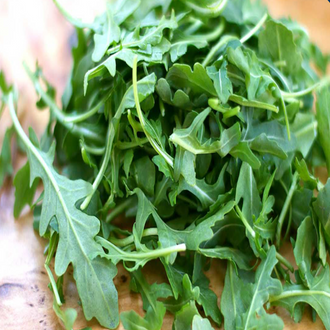 Organic Esmee arugula plant forming a rosette of deeply cut green leaves with tender texture and mild peppery flavour. The image shows compact habit, healthy foliage, and the ideal stage for harvesting baby or full-size leaves in a garden bed or planter. For growing Esmee arugula, inspect each small section separately so leaves are harvested at the proper stage.
