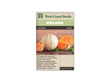 Sachet beige de semences Halona avec un bandeau vert pâle et le nom sur fond brun. Un melon entier à peau brodée et bandes vertes est entouré de morceaux à chair orange. Les fruits reposent sur une table de bois brun, avec quelques petites feuilles vertes. Les quartiers montrent les graines et une mince bordure verte sous l'écorce.